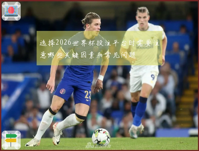 选择2026世界杯投注平台时需要注意哪些关键因素和常见问题