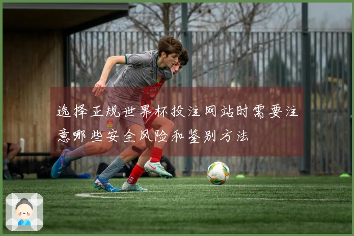 选择正规世界杯投注网站时需要注意哪些安全风险和鉴别方法