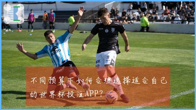 不同预算下如何合理选择适合自己的世界杯投注APP？