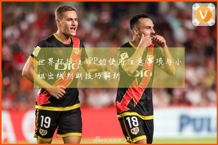 世界杯投注APP的使用注意事项与小组出线判断技巧解析