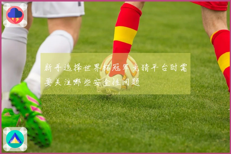 新手选择世界杯冠军竞猜平台时需要关注哪些安全性问题