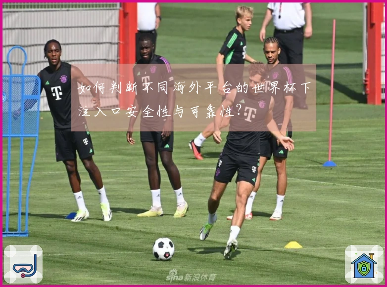 如何判断不同海外平台的世界杯下注入口安全性与可靠性？