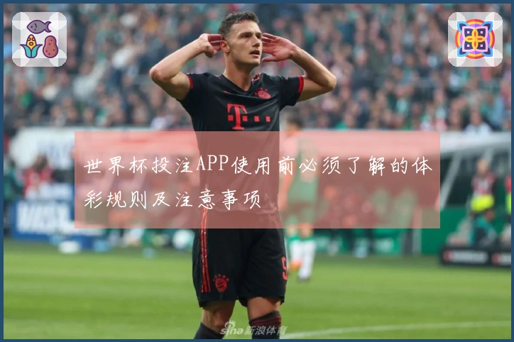 世界杯投注APP使用前必须了解的体彩规则及注意事项