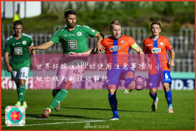 世界杯投注APP的使用注意事项与小组出线判断技巧解析
