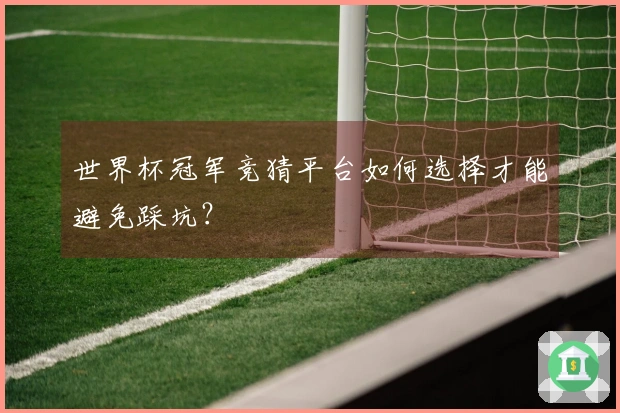 世界杯冠军竞猜平台如何选择才能避免踩坑？