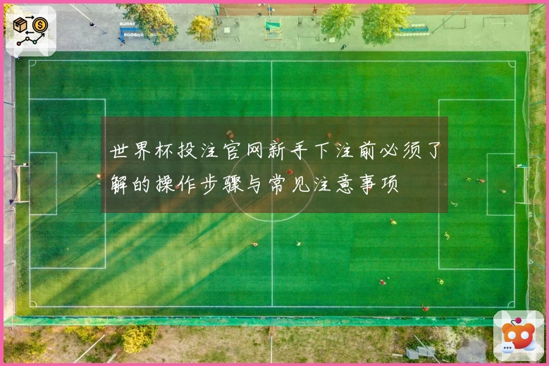 世界杯投注官网新手下注前必须了解的操作步骤与常见注意事项