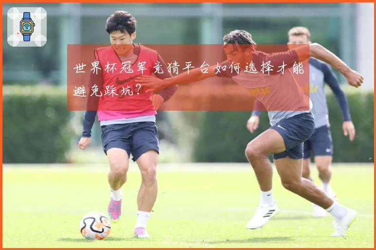 世界杯冠军竞猜平台如何选择才能避免踩坑？
