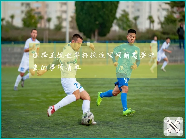 选择正规世界杯投注官网前需要核查的事项清单