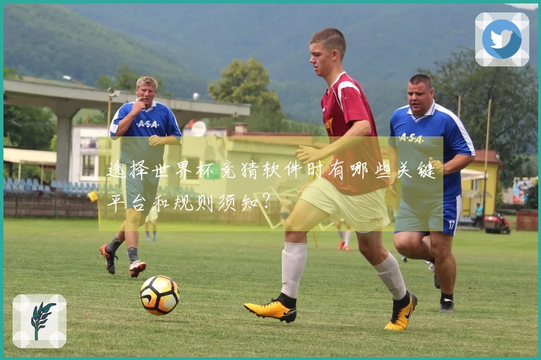 选择世界杯竞猜软件时有哪些关键平台和规则须知？