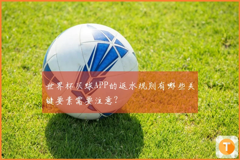 世界杯买球APP的返水规则有哪些关键要素需要注意？
