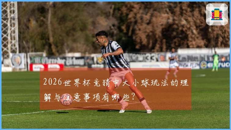 2026世界杯竞猜中大小球玩法的理解与注意事项有哪些？