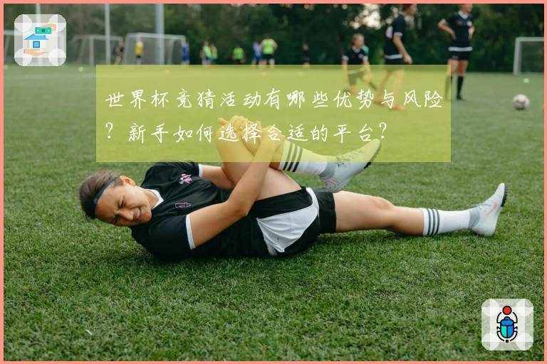 世界杯竞猜活动有哪些优势与风险？新手如何选择合适的平台？