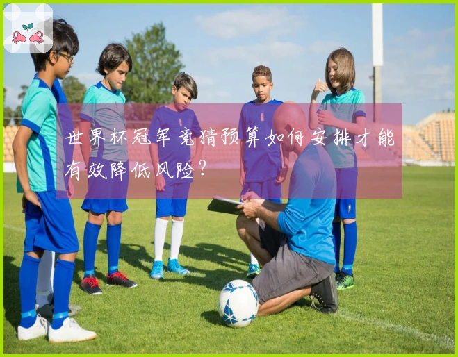 世界杯冠军竞猜预算如何安排才能有效降低风险？