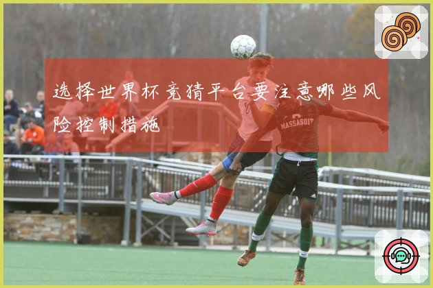 选择世界杯竞猜平台要注意哪些风险控制措施