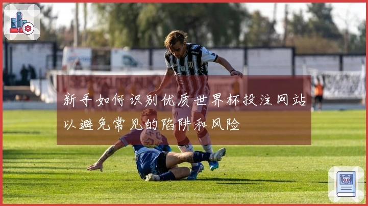 新手如何识别优质世界杯投注网站以避免常见的陷阱和风险
