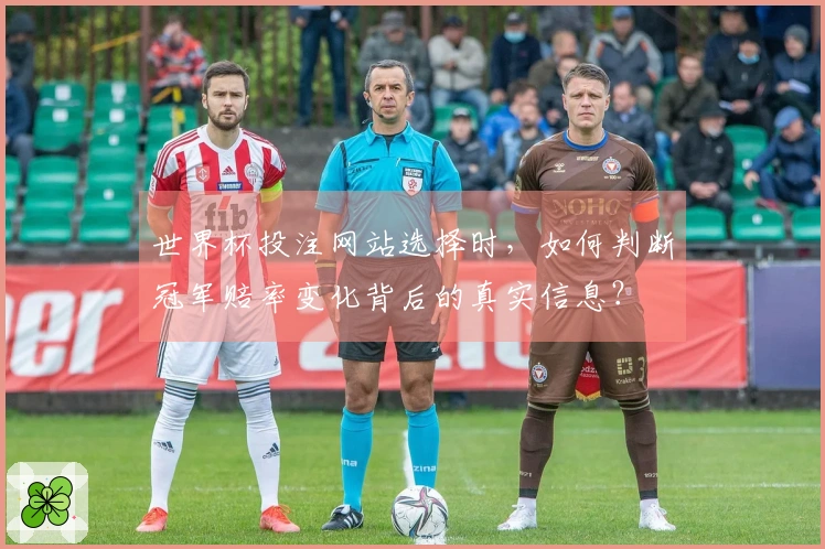 世界杯投注网站选择时，如何判断冠军赔率变化背后的真实信息？