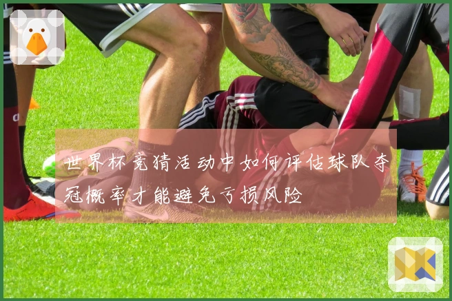 世界杯竞猜活动中如何评估球队夺冠概率才能避免亏损风险