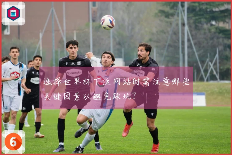 选择世界杯下注网站时需注意哪些关键因素以避免踩坑？