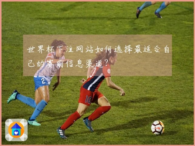 世界杯下注网站如何选择最适合自己的赛前信息渠道？
