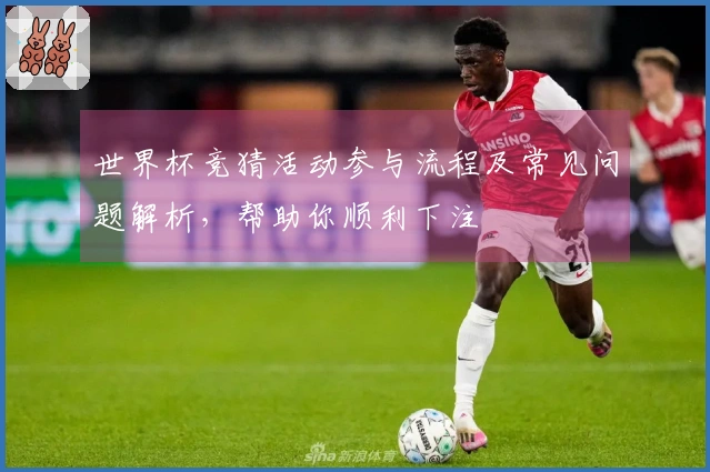 世界杯竞猜活动参与流程及常见问题解析，帮助你顺利下注