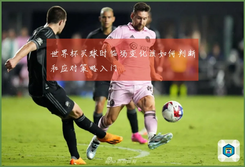 世界杯买球时临场变化该如何判断和应对策略入门