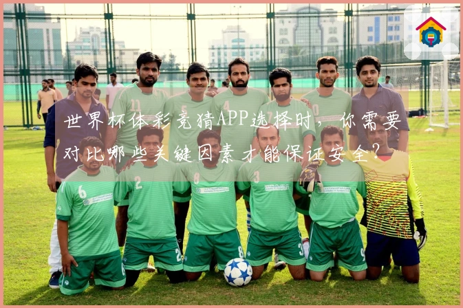 世界杯体彩竞猜APP选择时，你需要对比哪些关键因素才能保证安全？