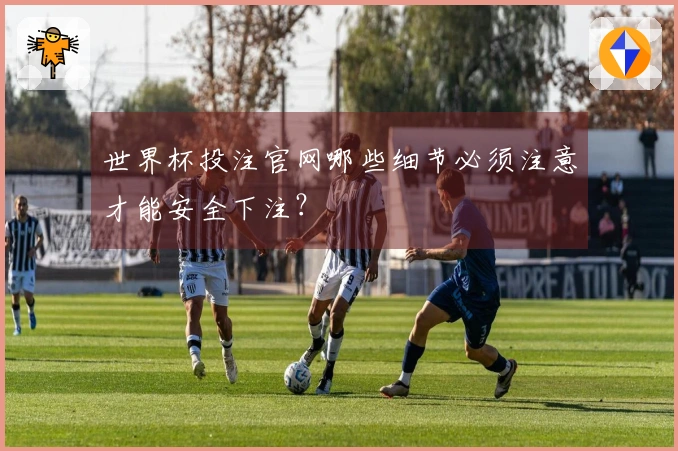 世界杯投注官网哪些细节必须注意才能安全下注？