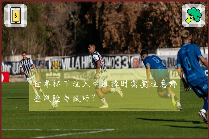 世界杯下注入口选择时需要注意哪些风险与技巧?