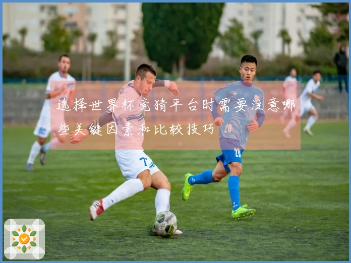 选择世界杯竞猜平台时需要注意哪些关键因素和比较技巧