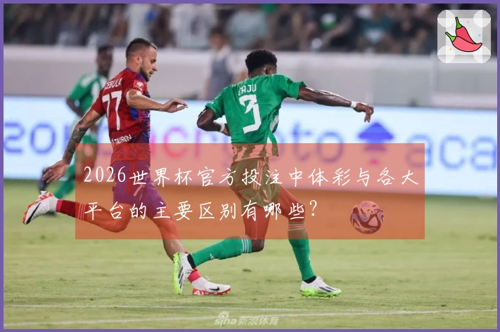 2026世界杯官方投注中体彩与各大平台的主要区别有哪些？