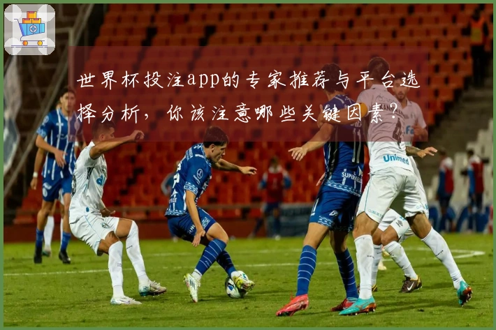 世界杯投注app的专家推荐与平台选择分析，你该注意哪些关键因素？