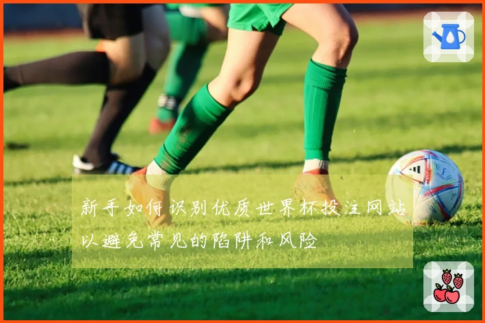 新手如何识别优质世界杯投注网站以避免常见的陷阱和风险