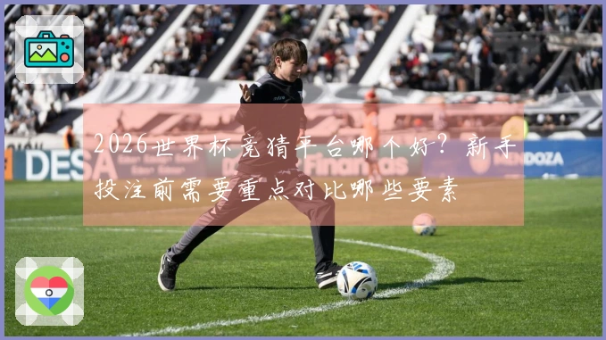 2026世界杯竞猜平台哪个好？新手投注前需要重点对比哪些要素