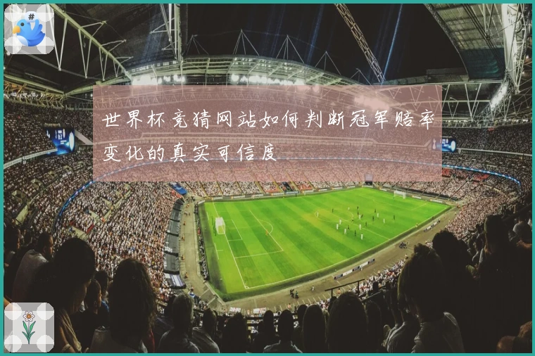 世界杯竞猜网站如何判断冠军赔率变化的真实可信度