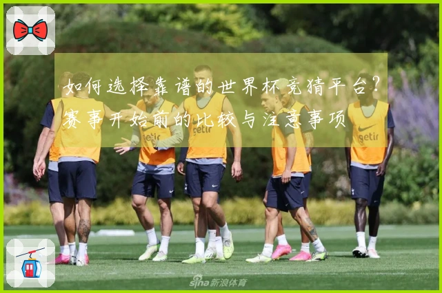 如何选择靠谱的世界杯竞猜平台？赛事开始前的比较与注意事项