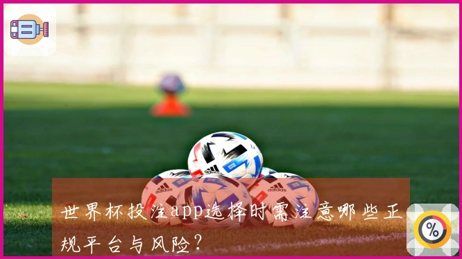 世界杯投注app选择时需注意哪些正规平台与风险？